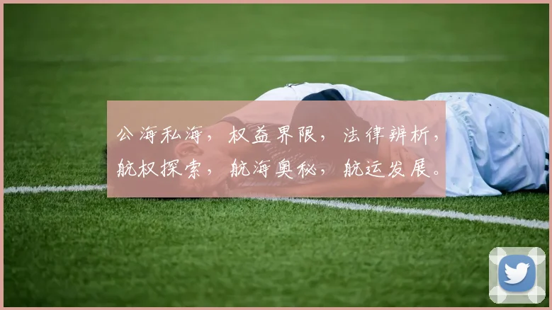 公海私海，权益界限，法律辨析，航权探索，航海奥秘，航运发展。