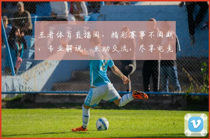 王者体育直播间，精彩赛事不间断，专业解说，互动交流，尽享电竞盛宴，不容错过