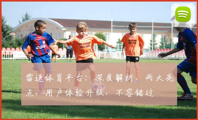 雷速体育平台：深度解析，两大亮点，用户体验升级，不容错过