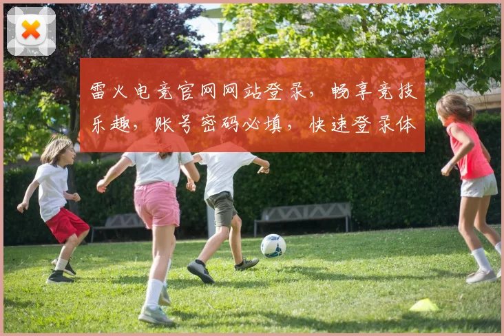 雷火电竞官网网站登录，畅享竞技乐趣，账号密码必填，快速登录体验