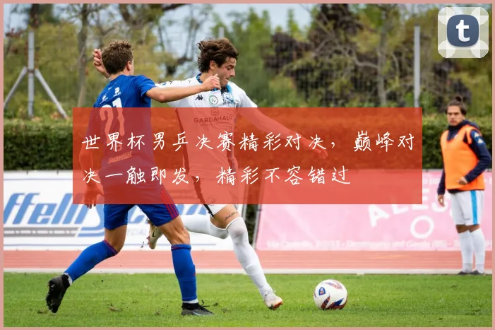 世界杯男乒决赛精彩对决，巅峰对决一触即发，精彩不容错过
